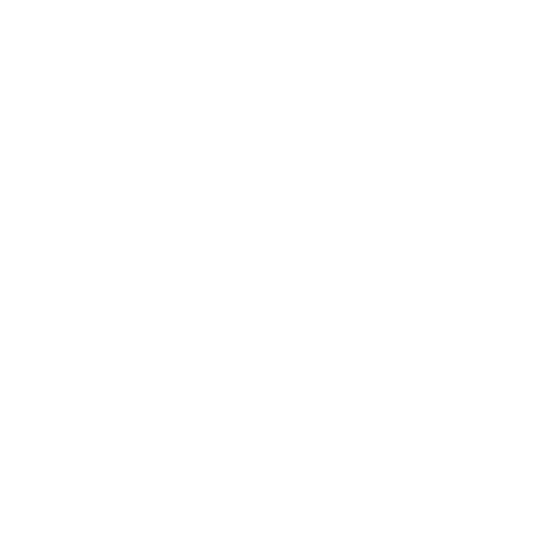 Company Logo Design 6